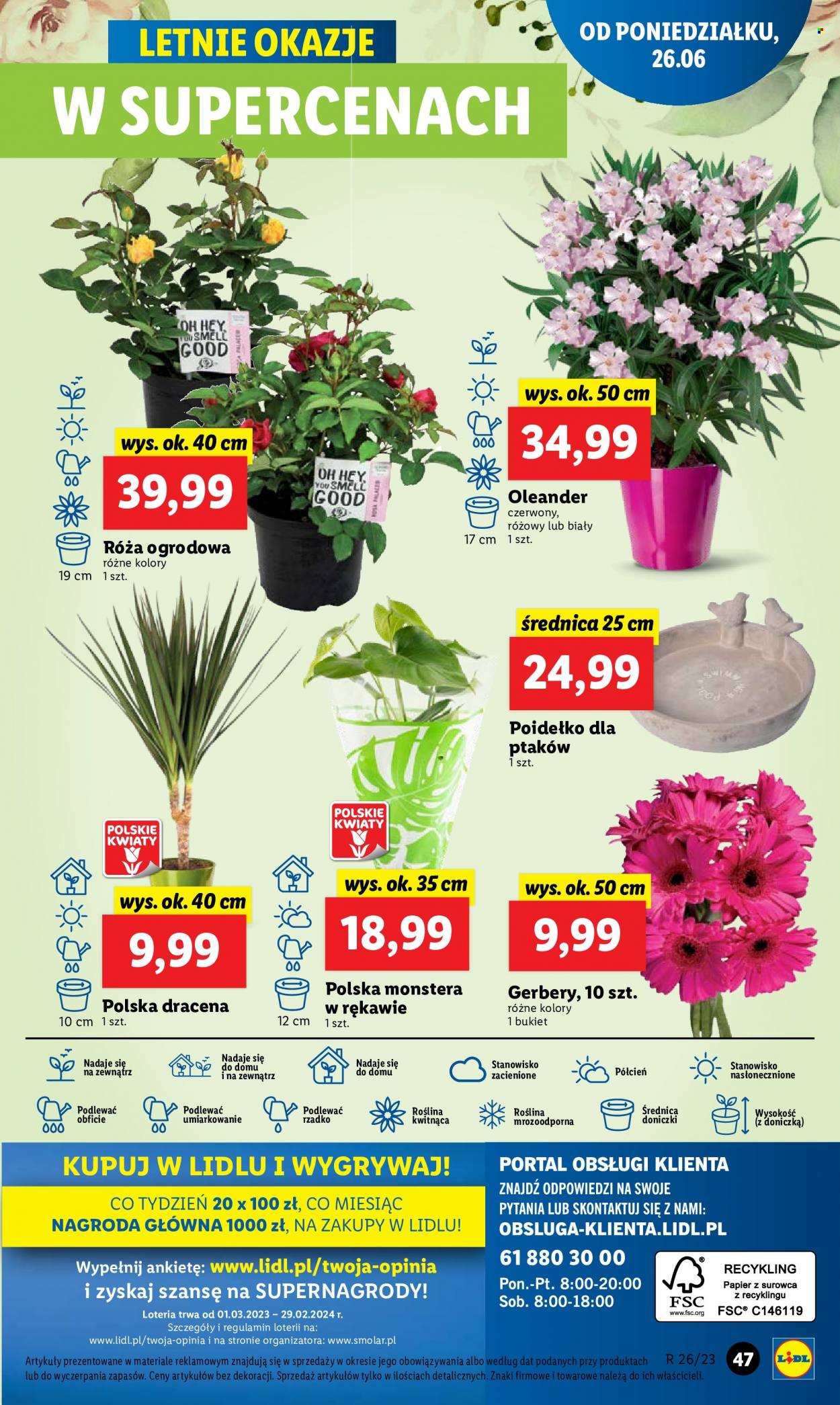 Gazetka Lidl - 26.06.2023 - 28.06.2023. Strona 49