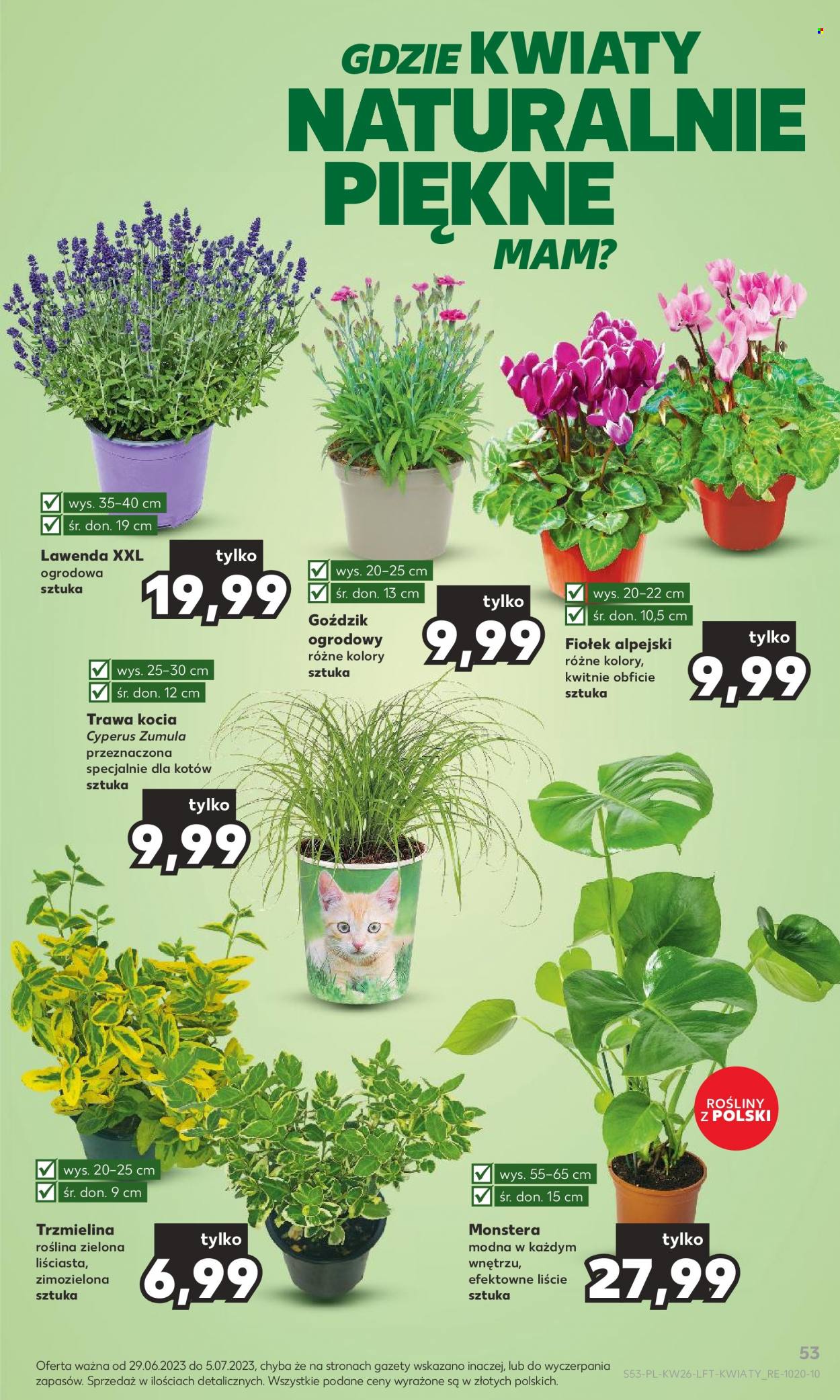 Gazetka Kaufland - 29.06.2023 - 5.07.2023. Strona 53