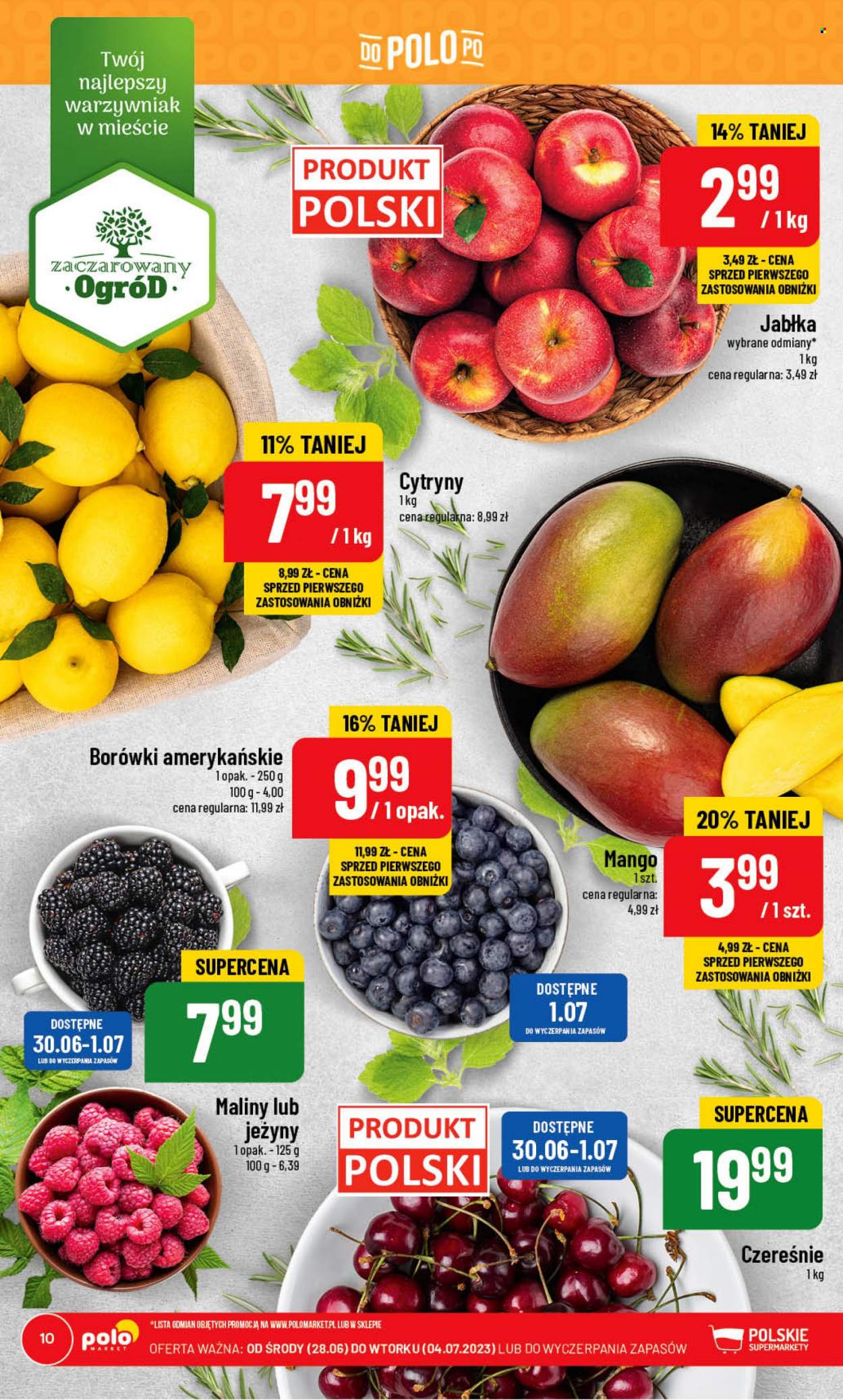 Gazetka Polomarket - 28.06.2023 - 4.07.2023. Strona 10