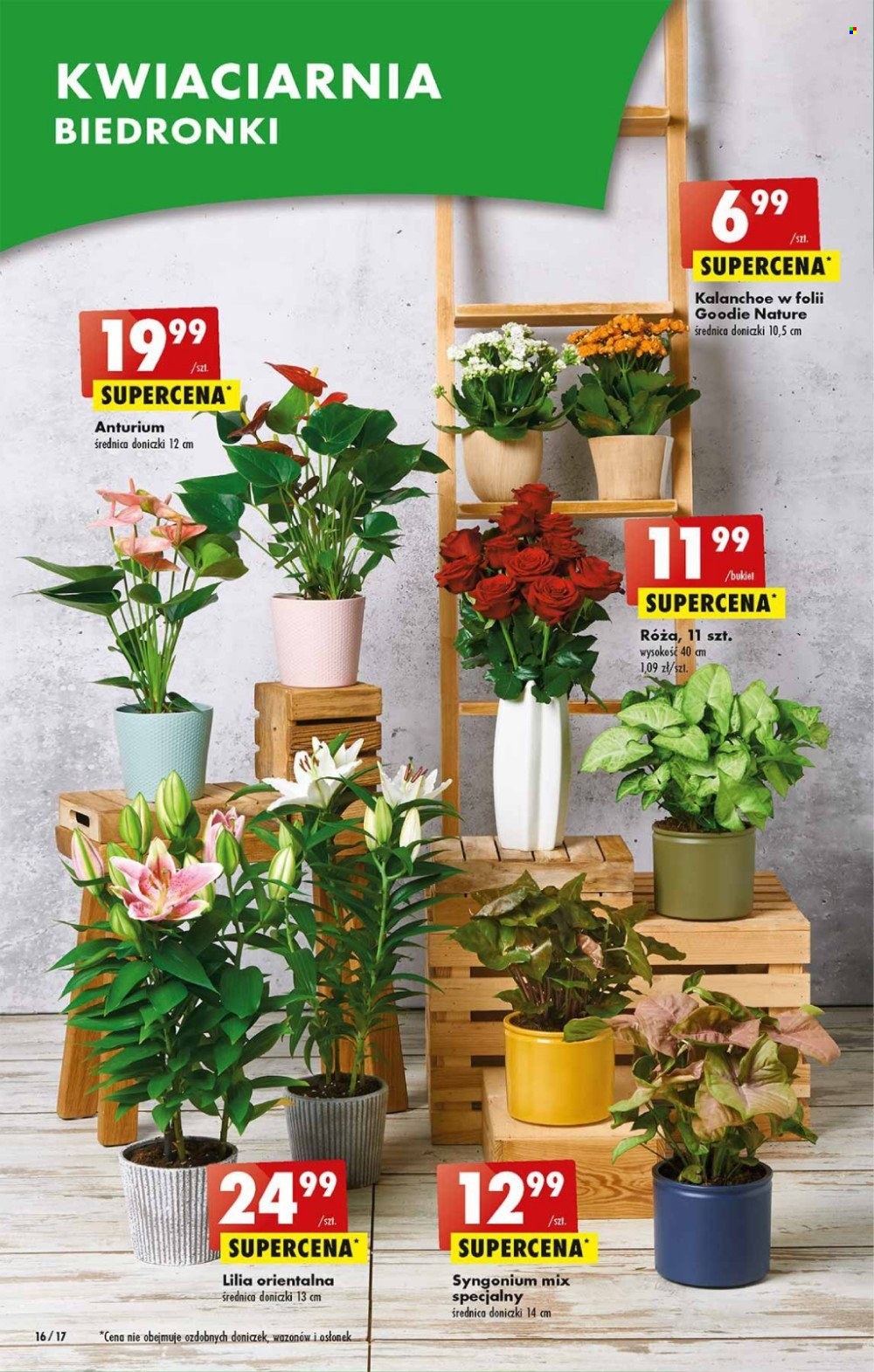 Gazetka Biedronka - 29.06.2023 - 5.07.2023. Strona 16