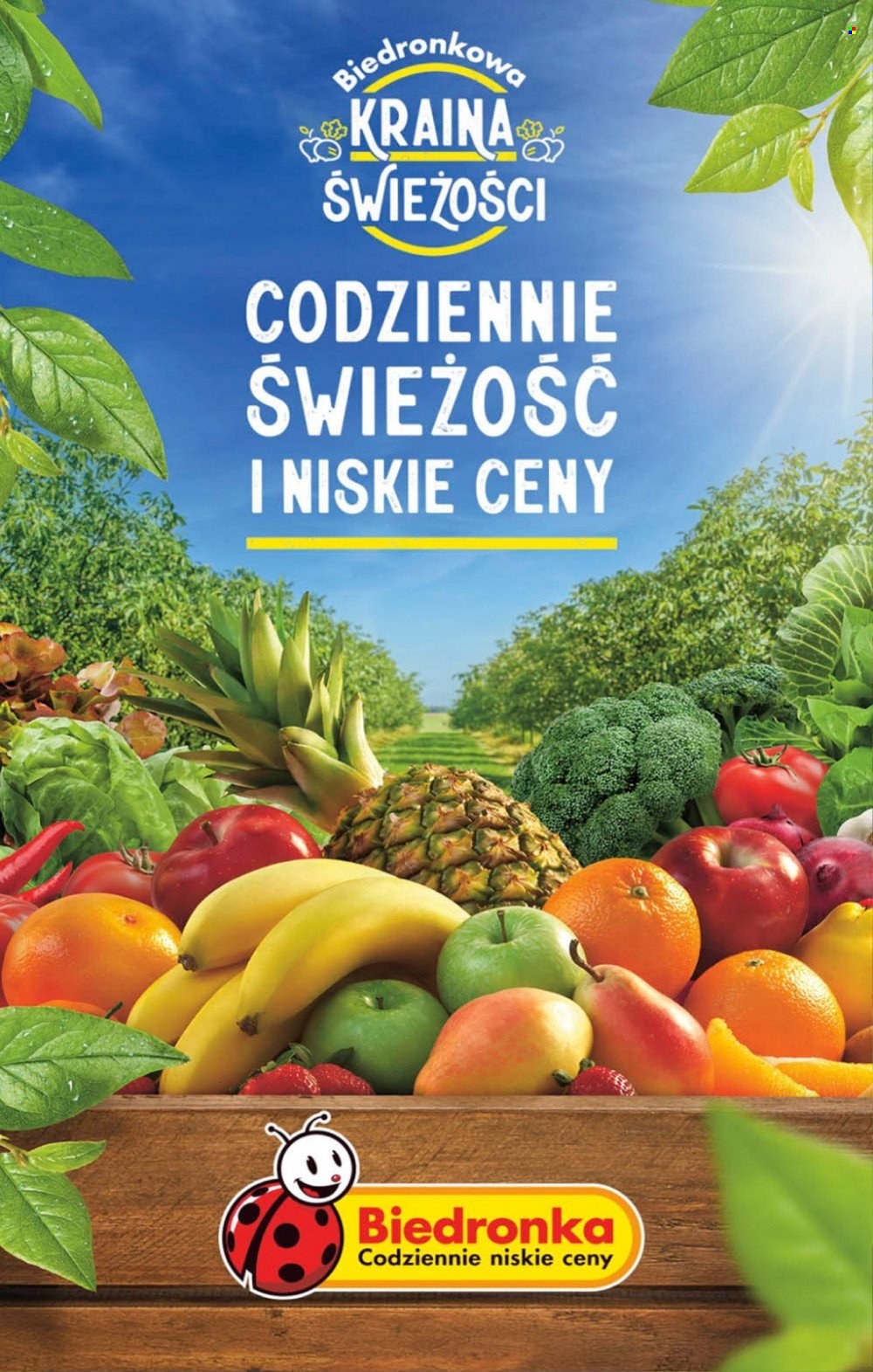 Gazetka Biedronka - 29.06.2023 - 5.07.2023. Strona 57