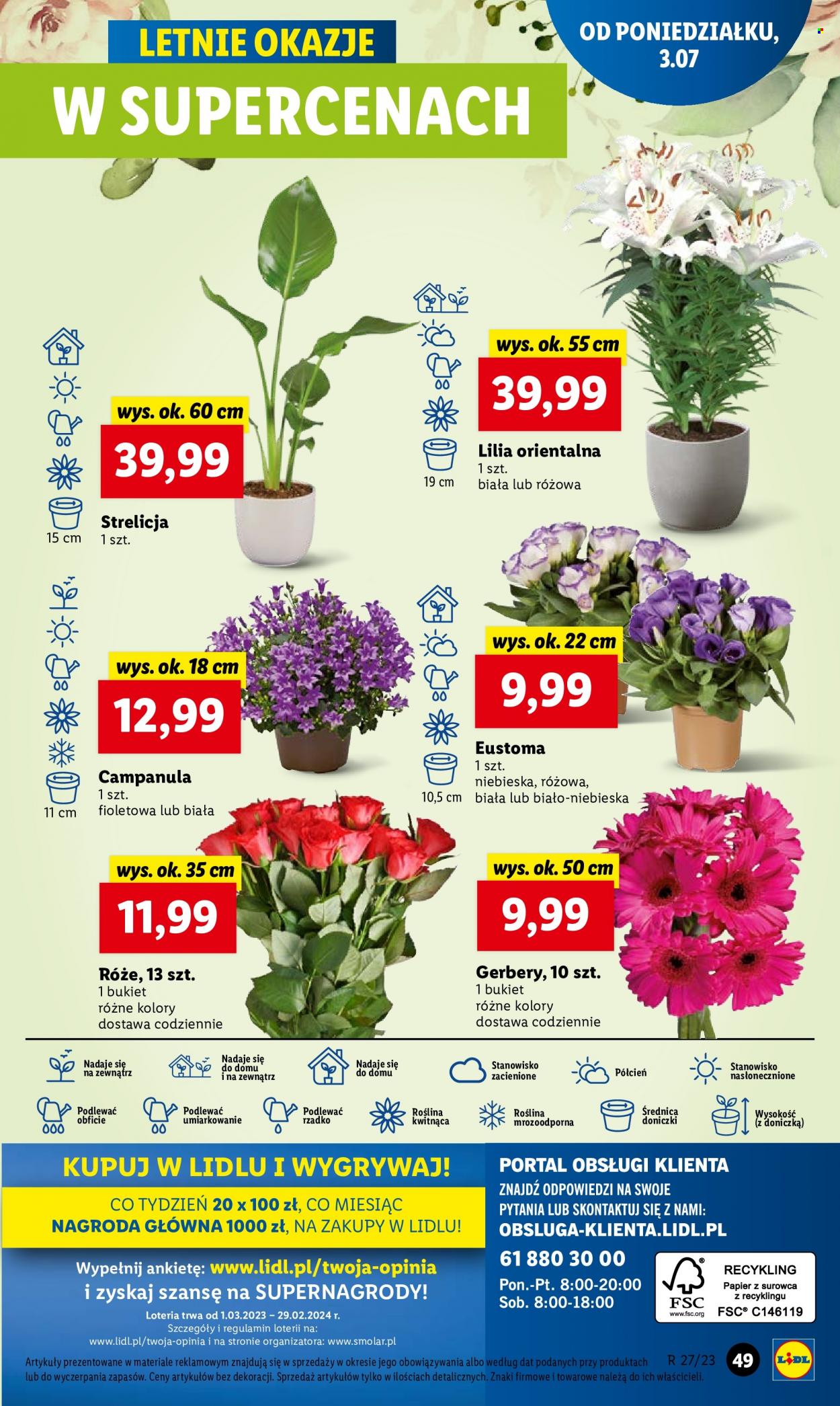 Gazetka Lidl - 3.07.2023 - 8.07.2023. Strona 59