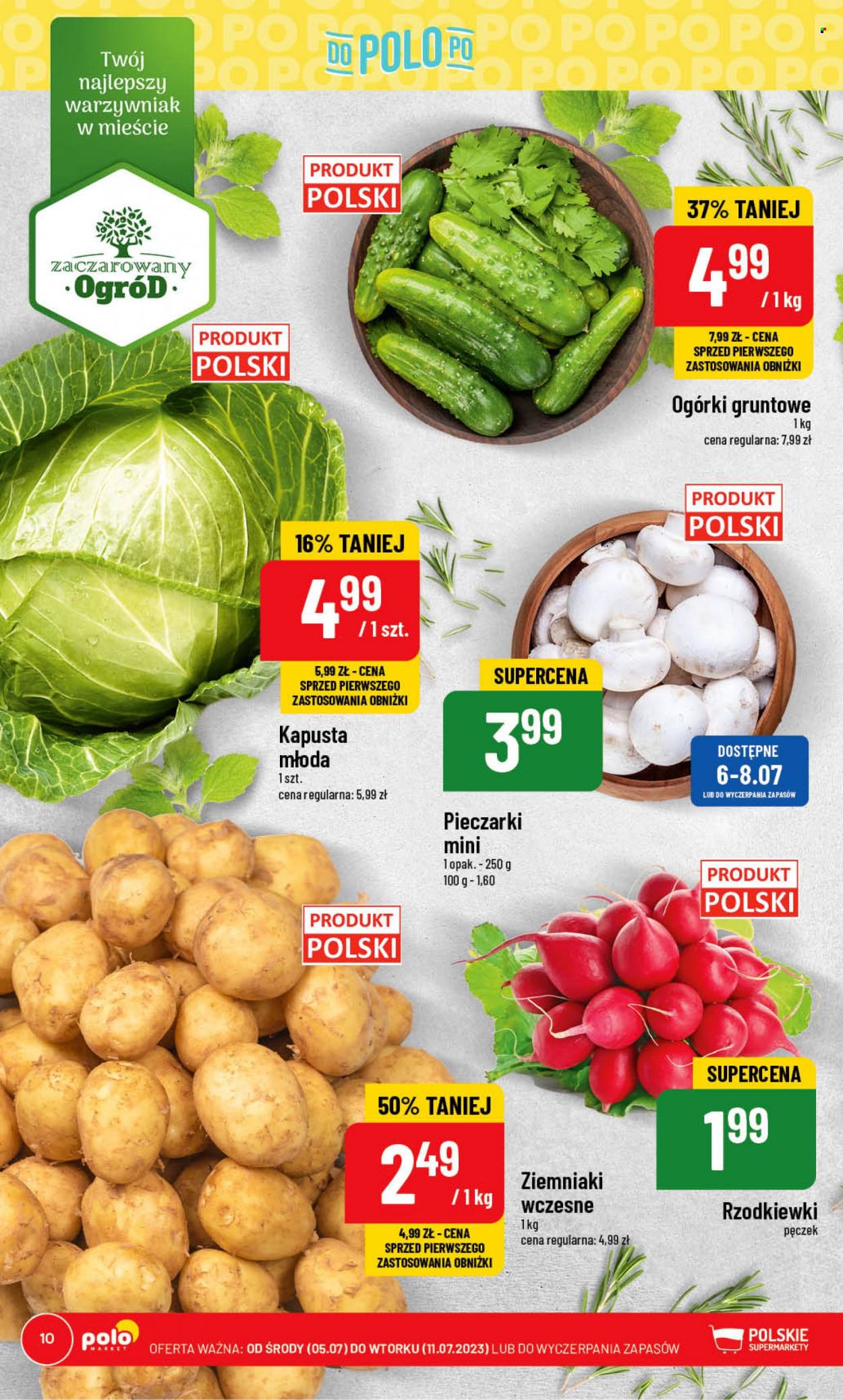 Gazetka Polomarket - 5.07.2023 - 11.07.2023. Strona 10