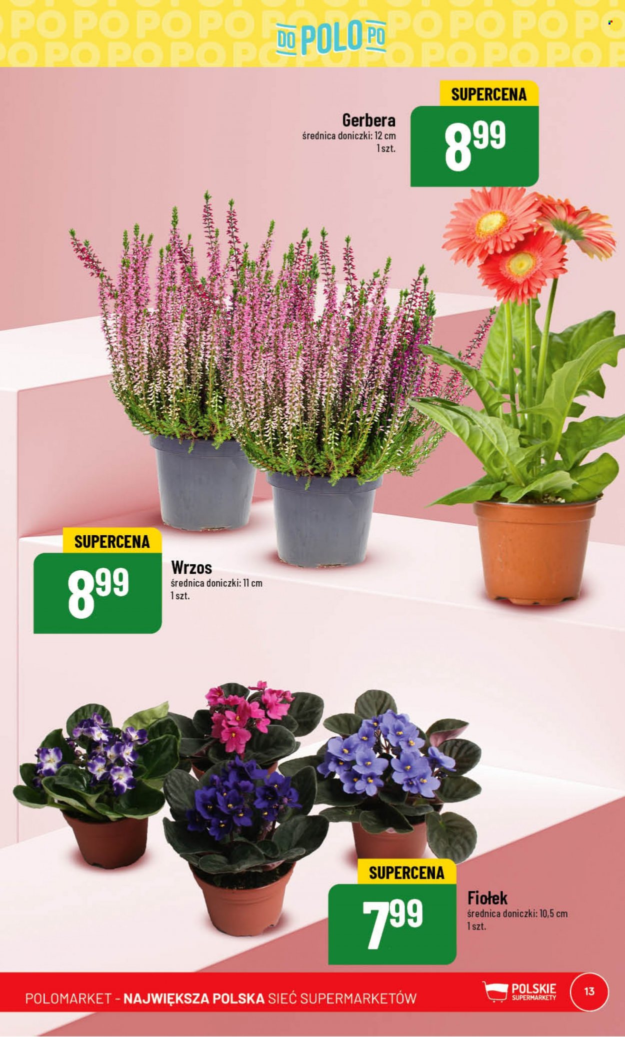 Gazetka Polomarket - 5.07.2023 - 11.07.2023. Strona 13