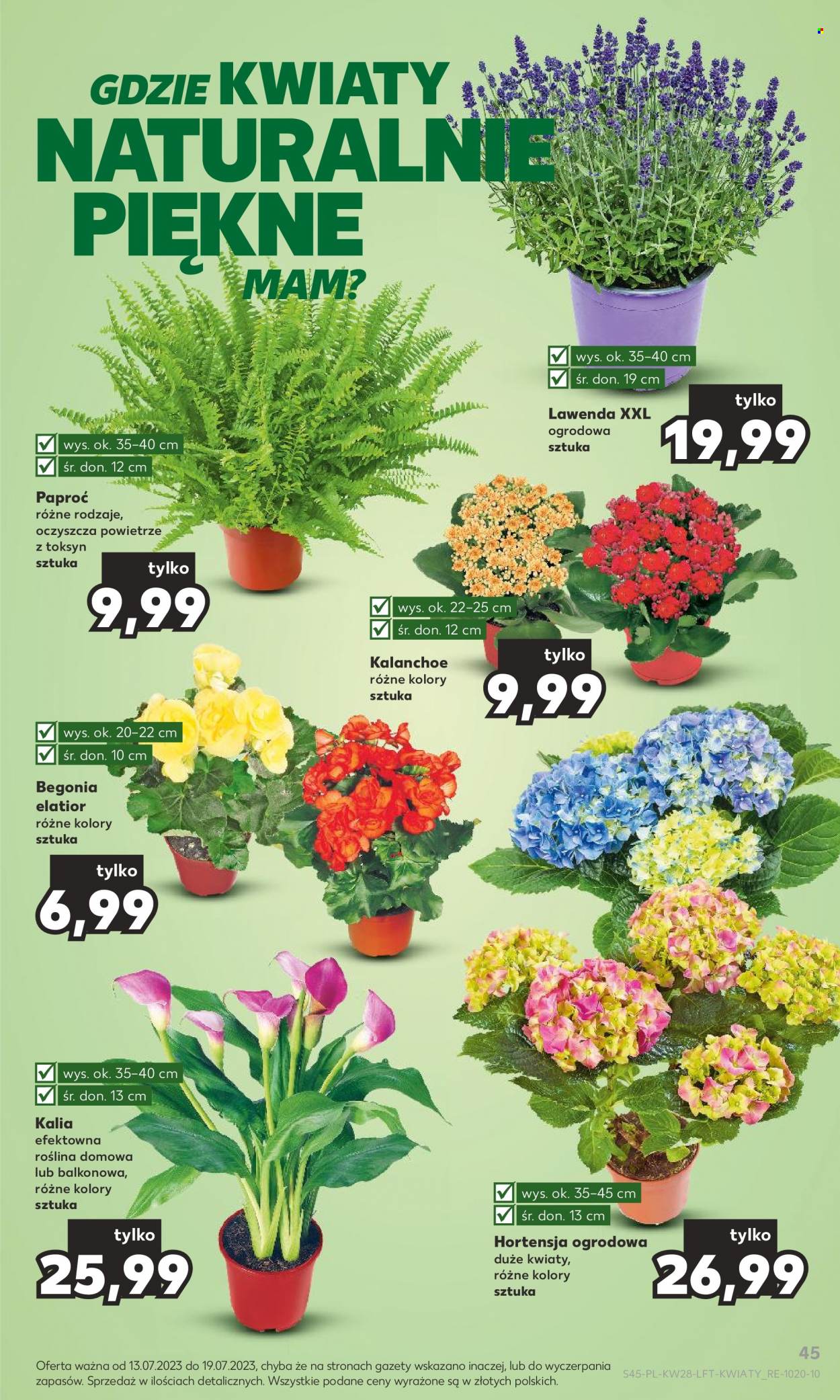 Gazetka Kaufland - 13.07.2023 - 19.07.2023. Strona 45