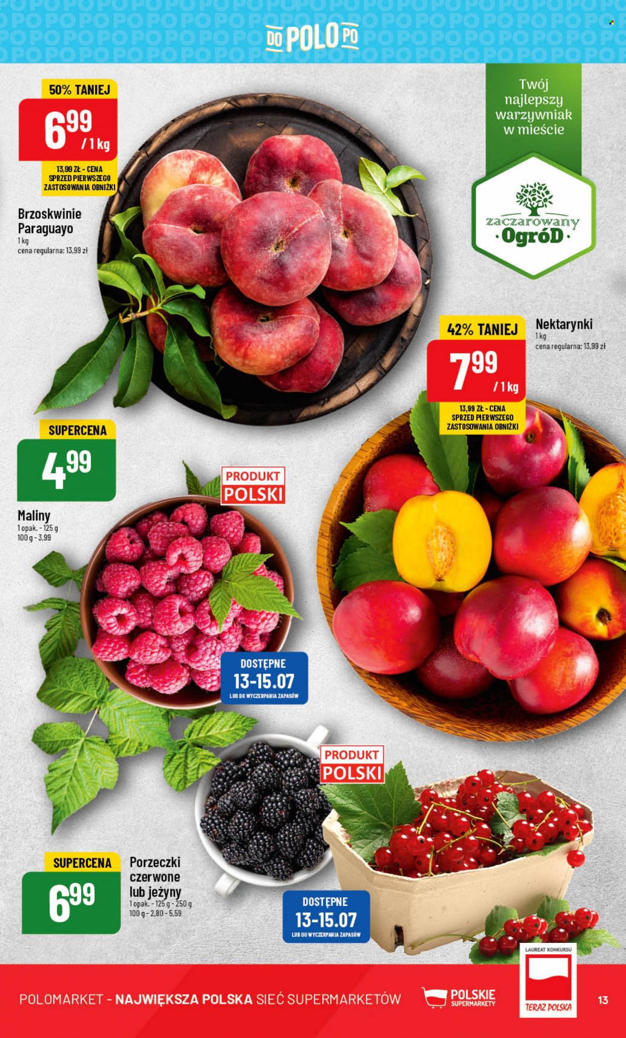 Gazetka Polomarket - 12.07.2023 - 18.07.2023. Strona 13