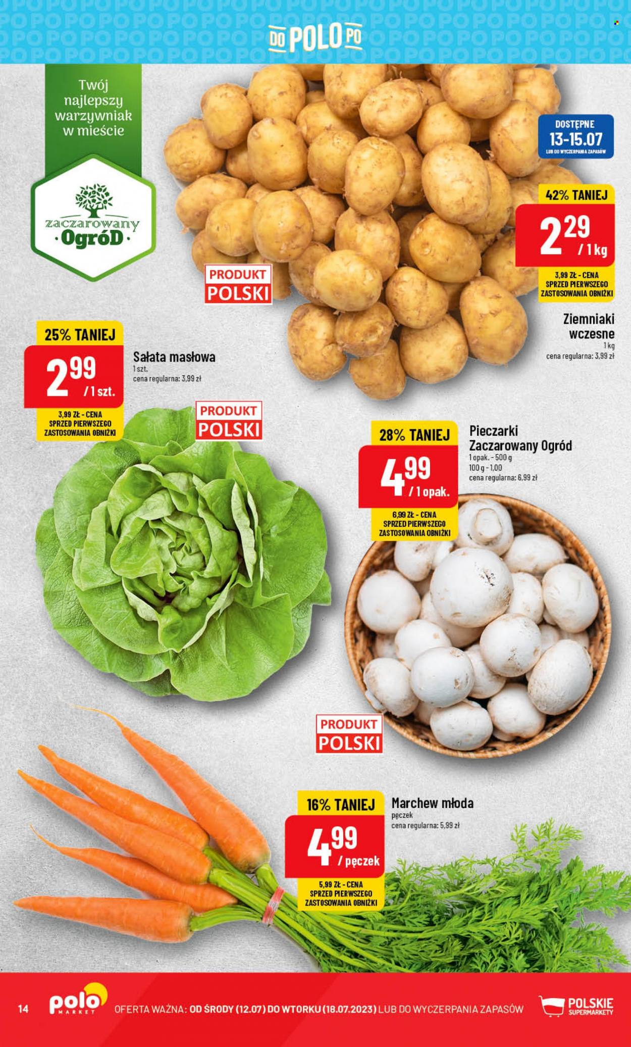 Gazetka Polomarket - 12.07.2023 - 18.07.2023. Strona 14