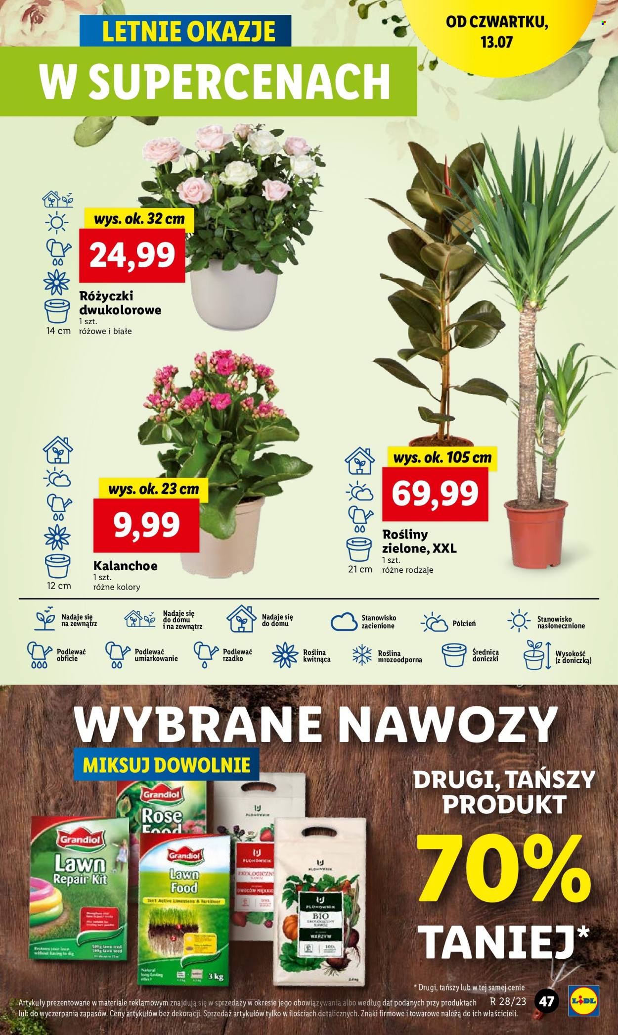 Gazetka Lidl - 13.07.2023 - 15.07.2023. Strona 61