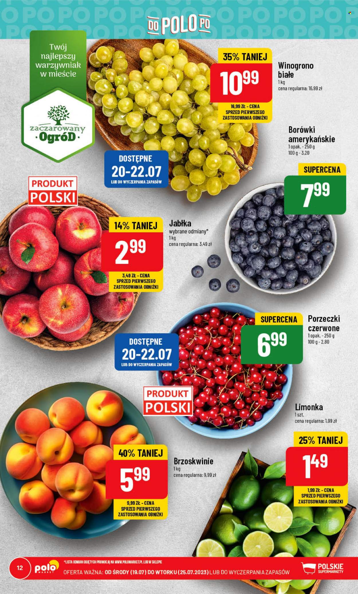 Gazetka Polomarket - 19.07.2023 - 25.07.2023. Strona 12