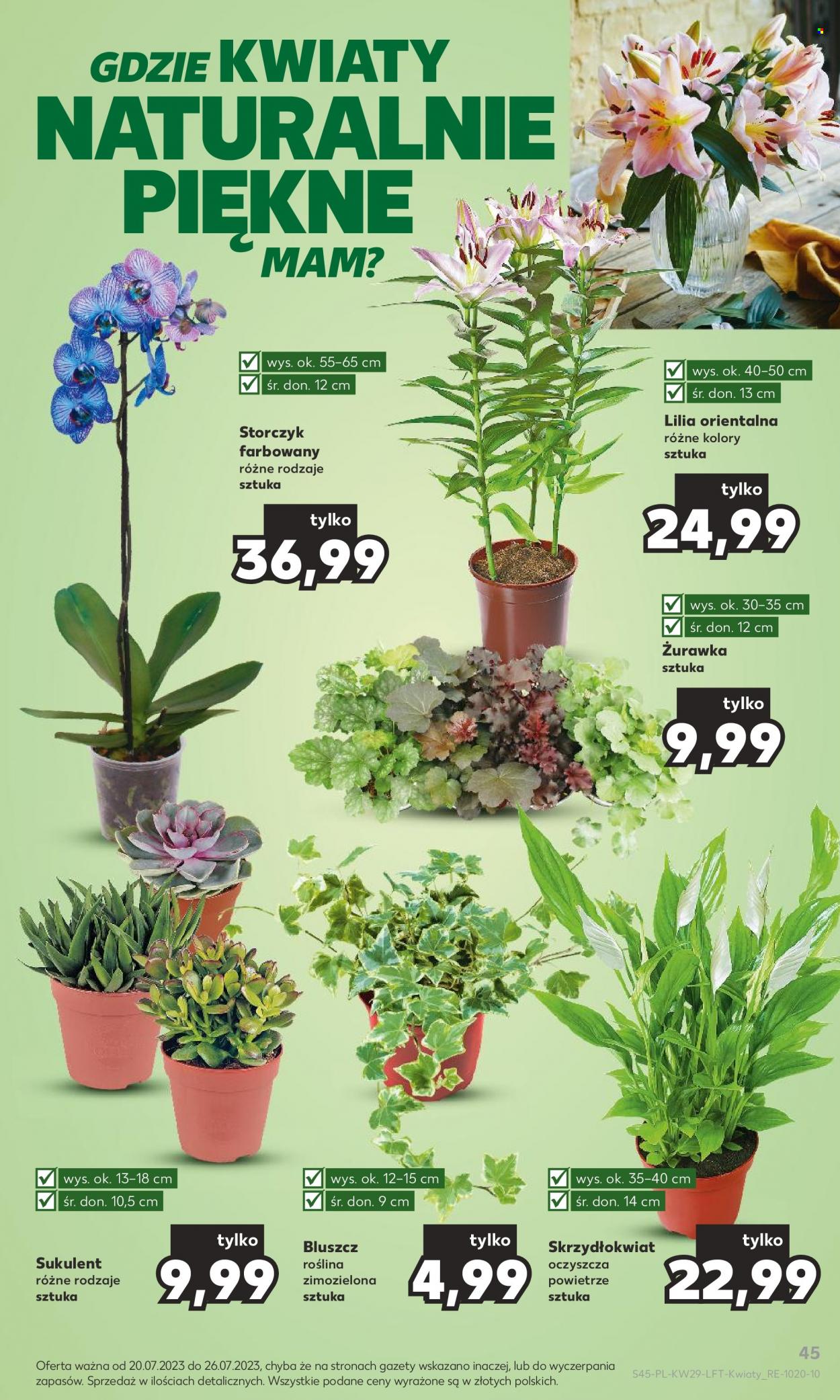 Gazetka Kaufland - 20.07.2023 - 26.07.2023. Strona 45