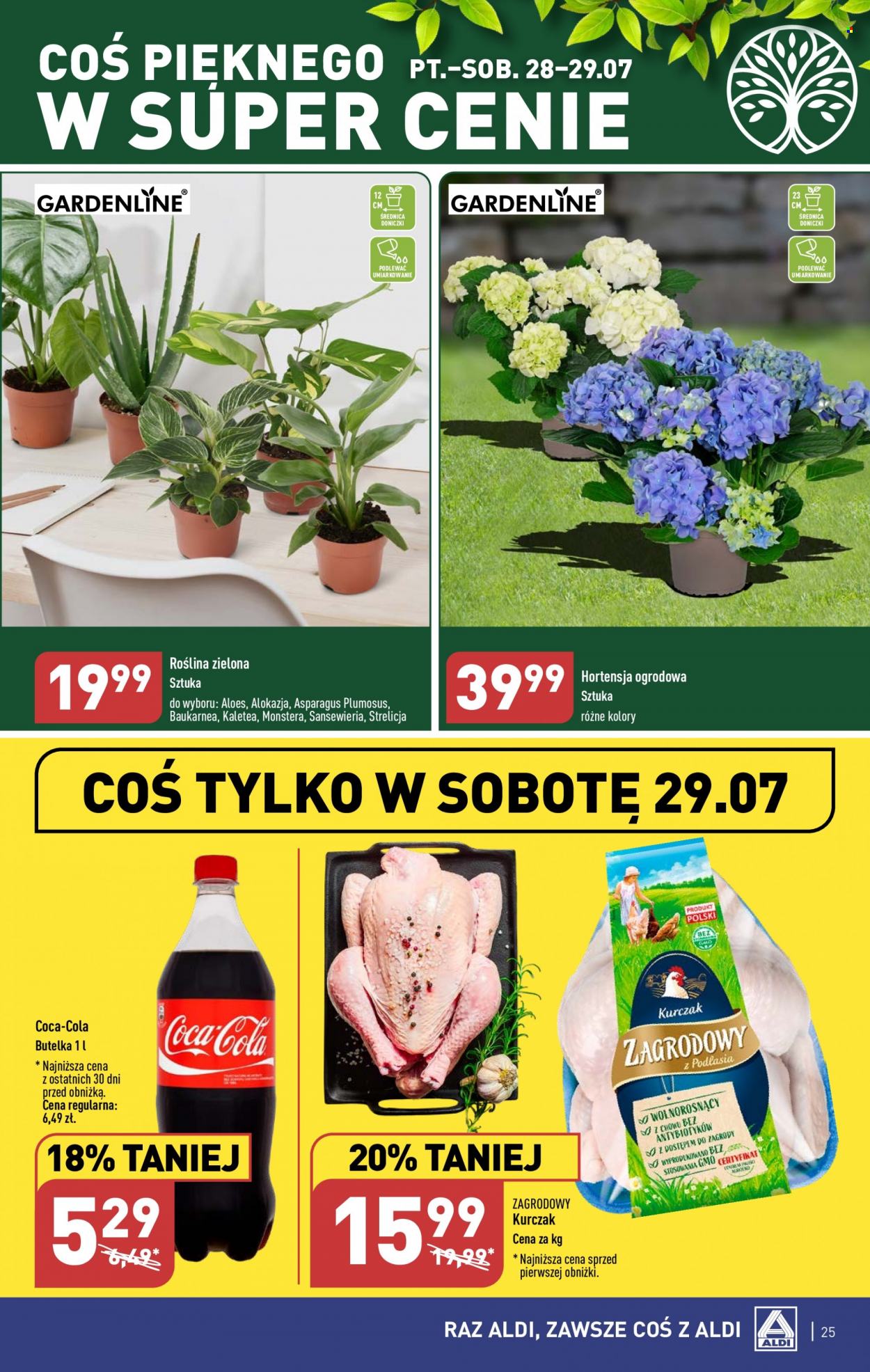 Gazetka ALDI - 24.07.2023 - 29.07.2023. Strona 25