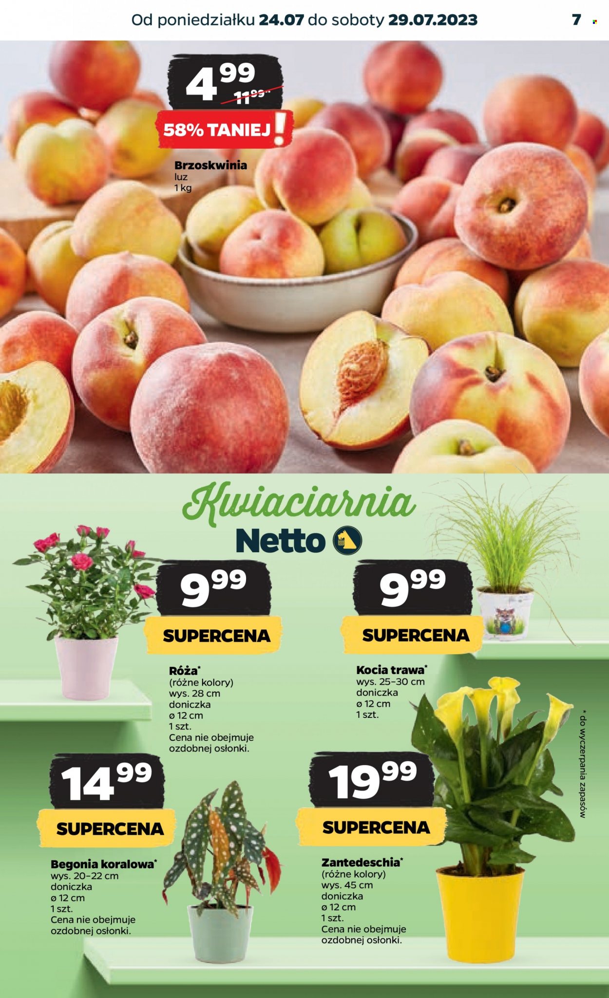 Gazetka Netto - 24.07.2023 - 29.07.2023. Strona 7