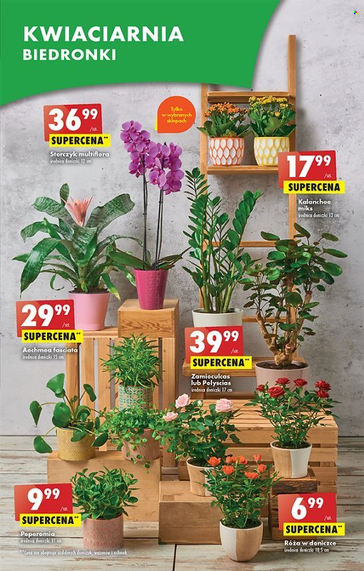 Gazetka Biedronka - 24.07.2023 - 29.07.2023. Strona 60