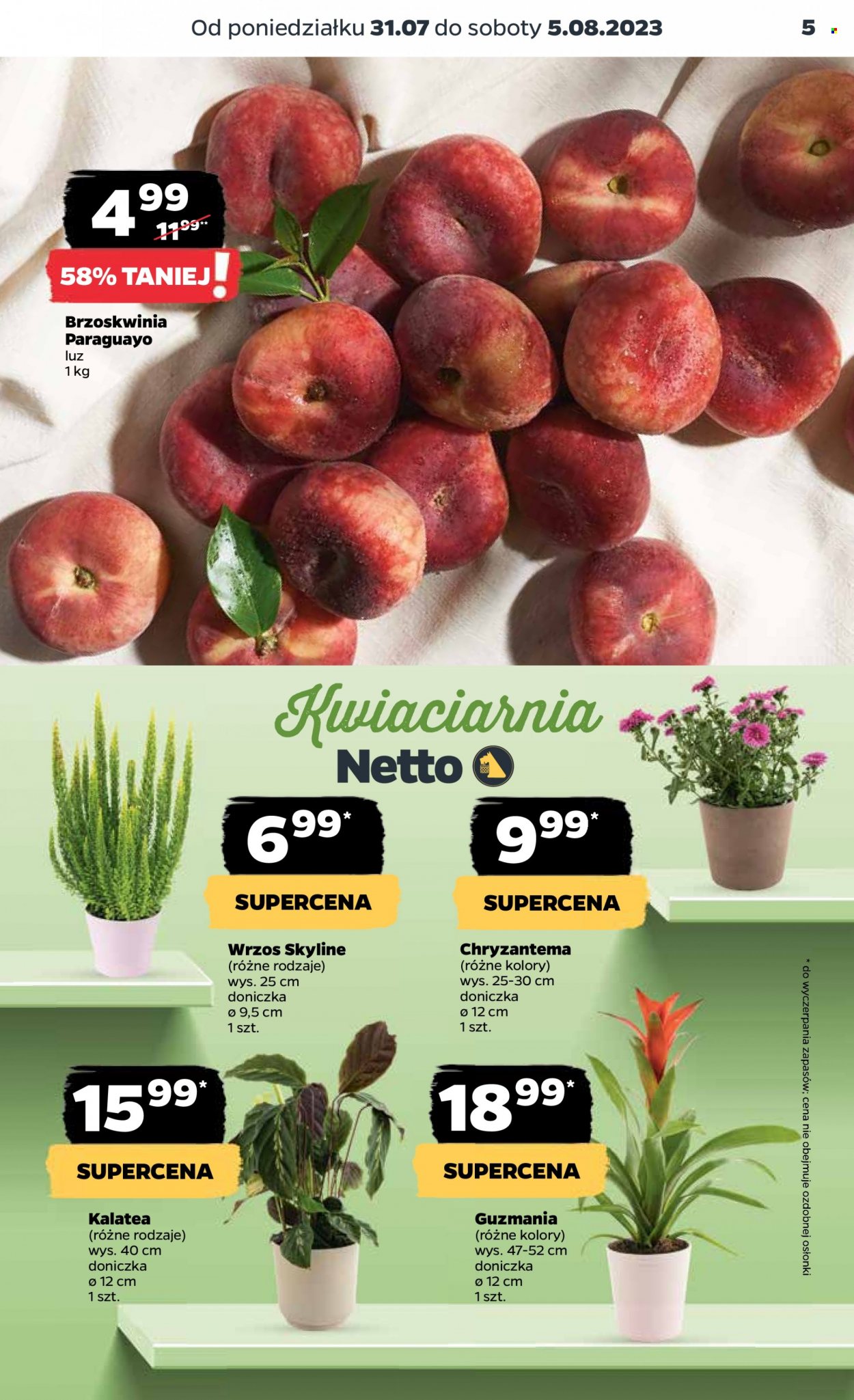 Gazetka Netto - 31.07.2023 - 5.08.2023. Strona 5