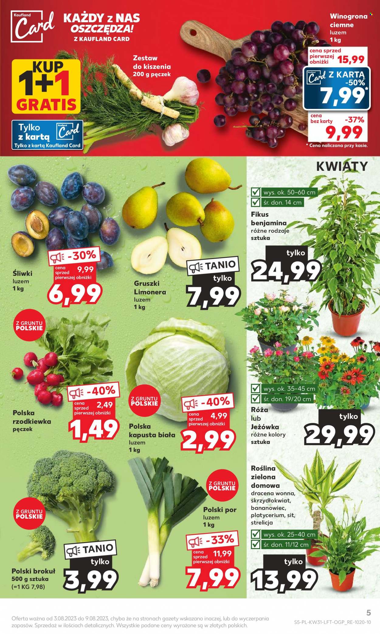 Gazetka Kaufland - 3.08.2023 - 9.08.2023. Strona 5