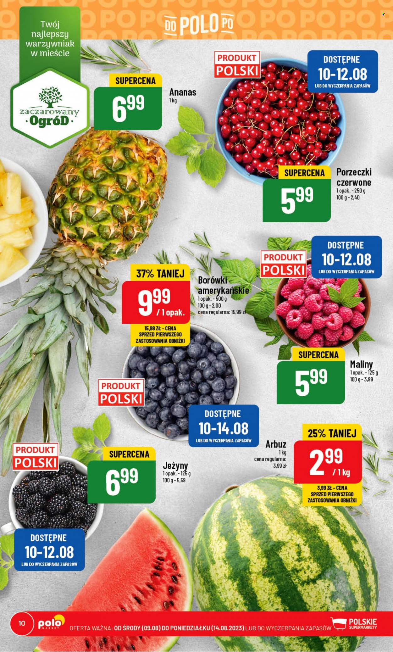 Gazetka Polomarket - 9.08.2023 - 14.08.2023. Strona 10