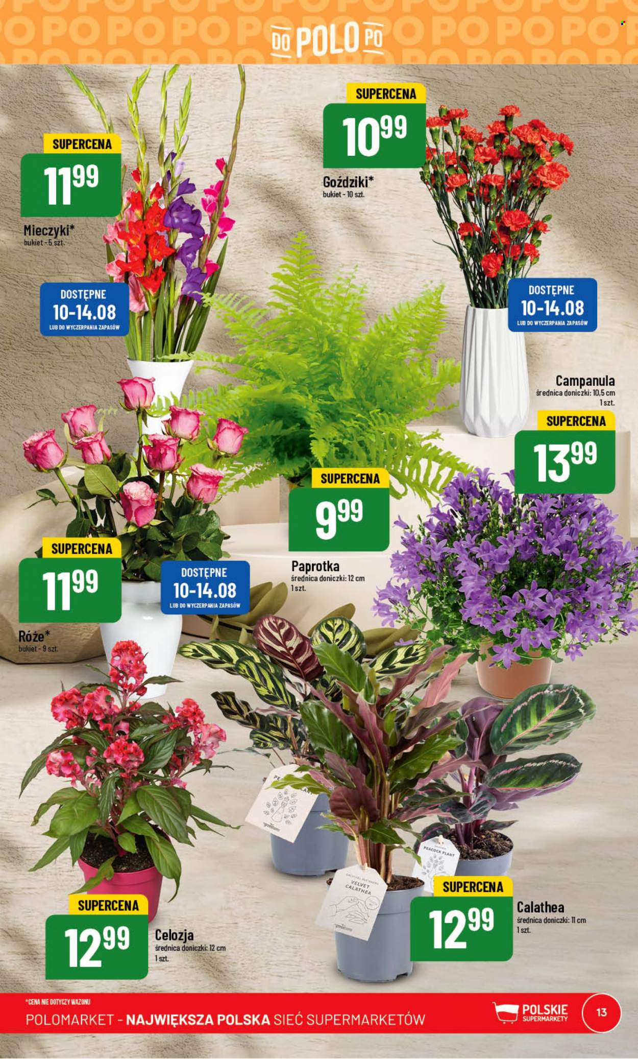 Gazetka Polomarket - 9.08.2023 - 14.08.2023. Strona 13