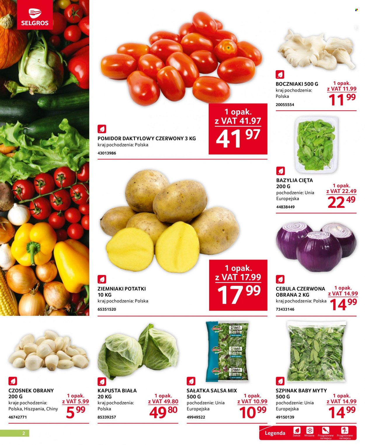 Gazetka Selgros - 10.08.2023 - 23.08.2023. Strona 2