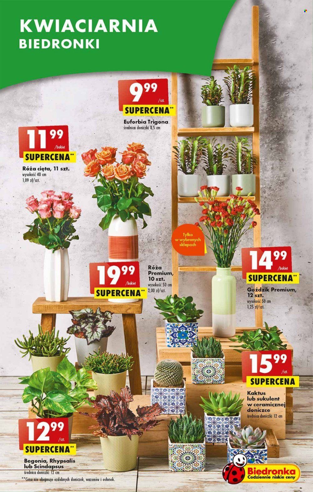 Gazetka Biedronka - 10.08.2023 - 16.08.2023. Strona 21