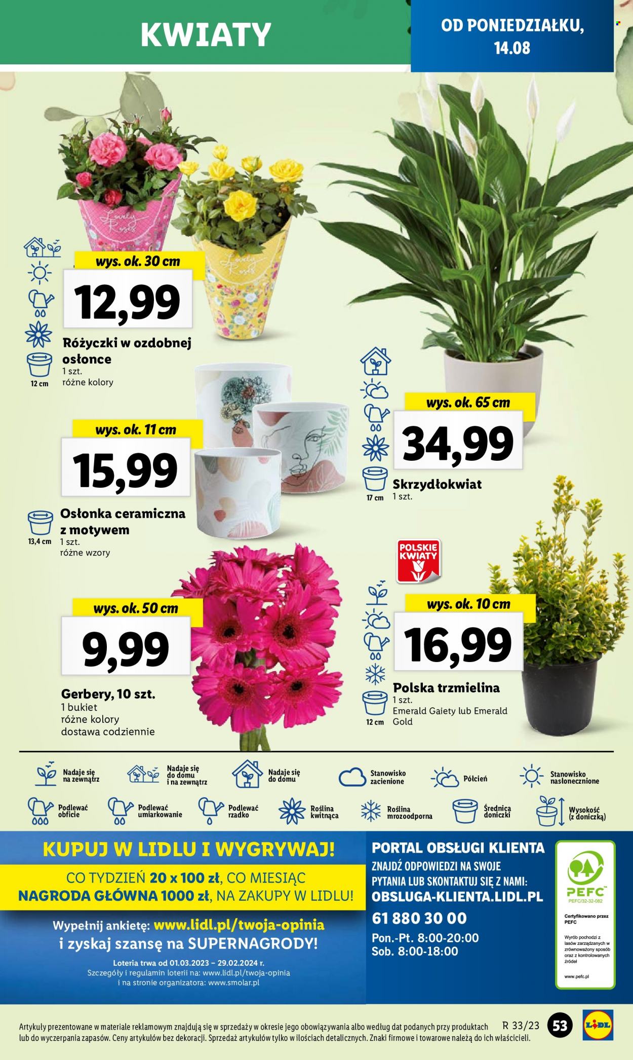 Gazetka Lidl - 14.08.2023 - 19.08.2023. Strona 59