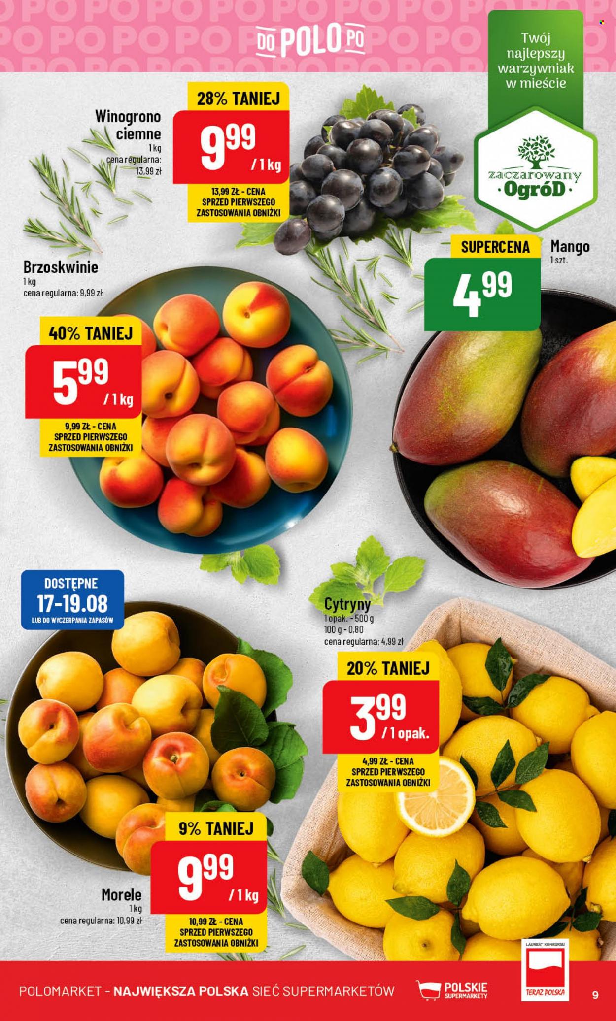 Gazetka Polomarket - 16.08.2023 - 22.08.2023. Strona 9