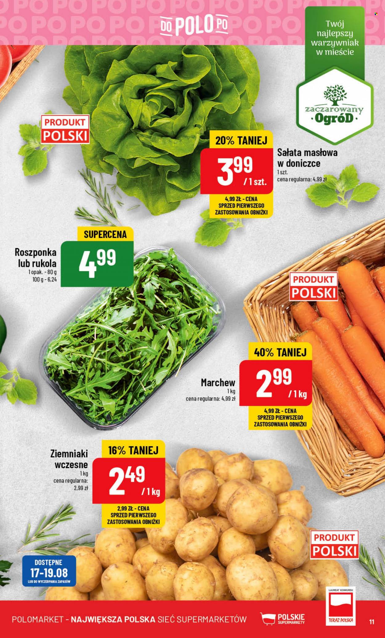 Gazetka Polomarket - 16.08.2023 - 22.08.2023. Strona 11