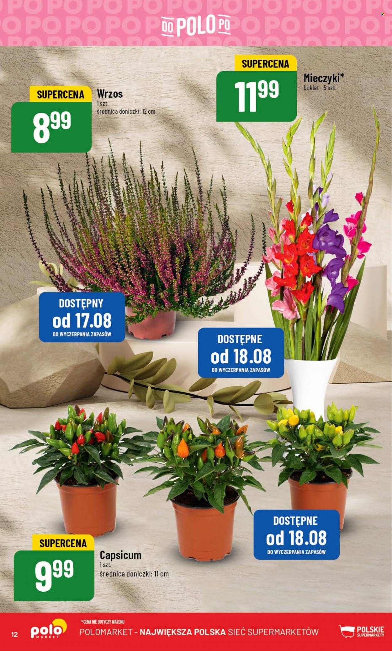 Gazetka Polomarket - 16.08.2023 - 22.08.2023. Strona 12