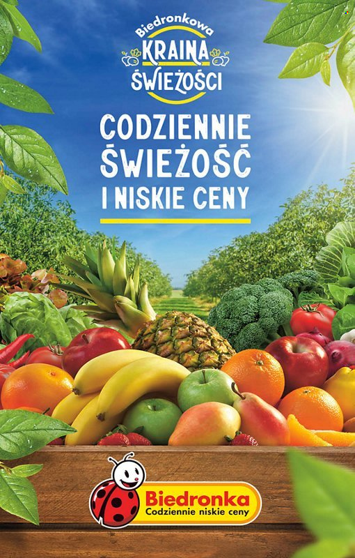 Gazetka Biedronka - 17.08.2023 - 23.08.2023. Strona 63