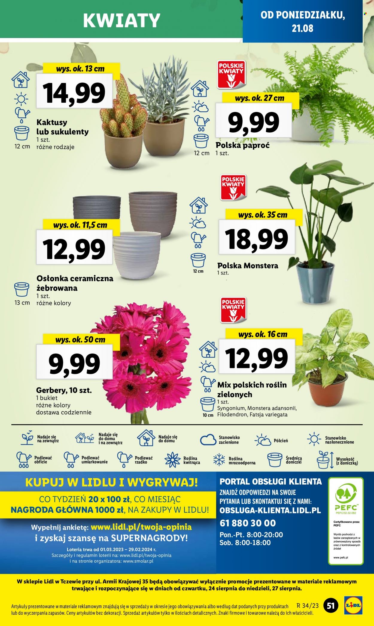 Gazetka Lidl - 21.08.2023 - 27.08.2023. Strona 57