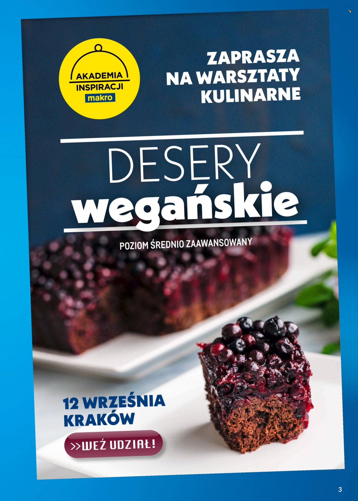 Gazetka Makro - 22.08.2023 - 4.09.2023. Strona 3