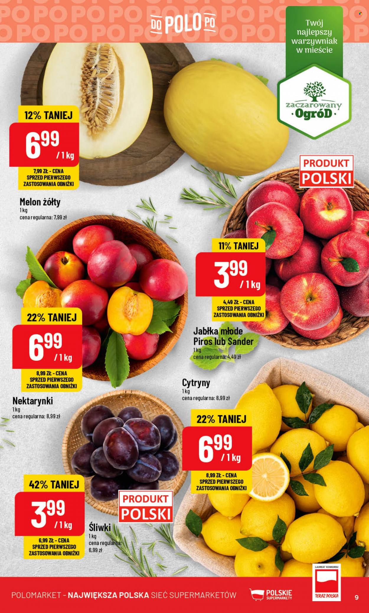 Gazetka Polomarket - 23.08.2023 - 29.08.2023. Strona 9