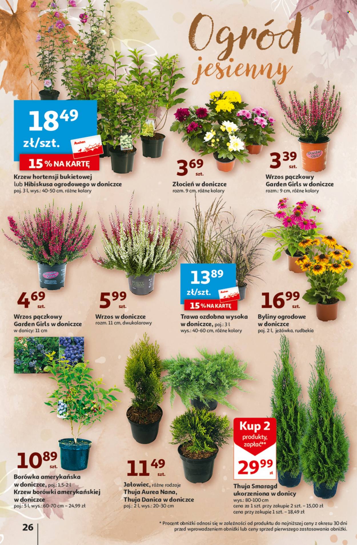 Gazetka Auchan - 24.08.2023 - 30.08.2023. Strona 26