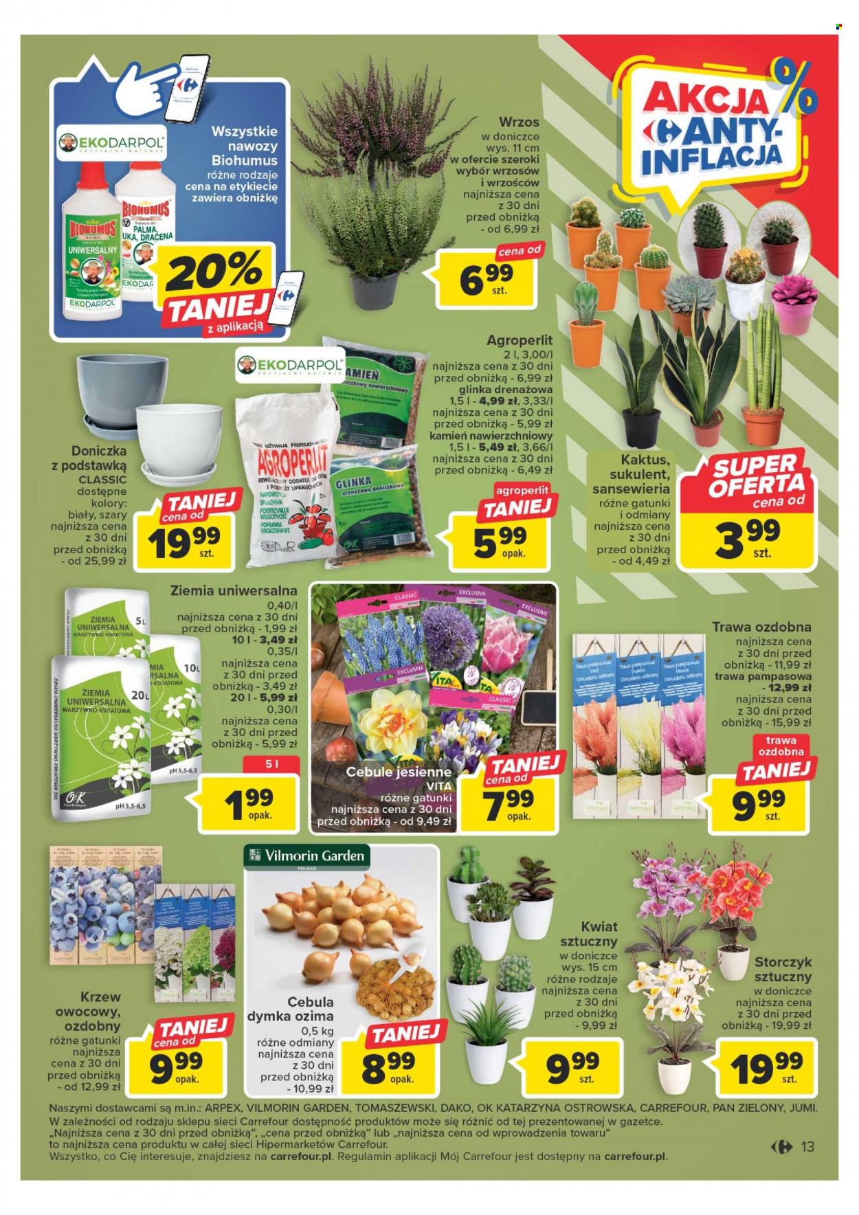 Gazetka Carrefour - 29.08.2023 - 9.09.2023. Strona 13
