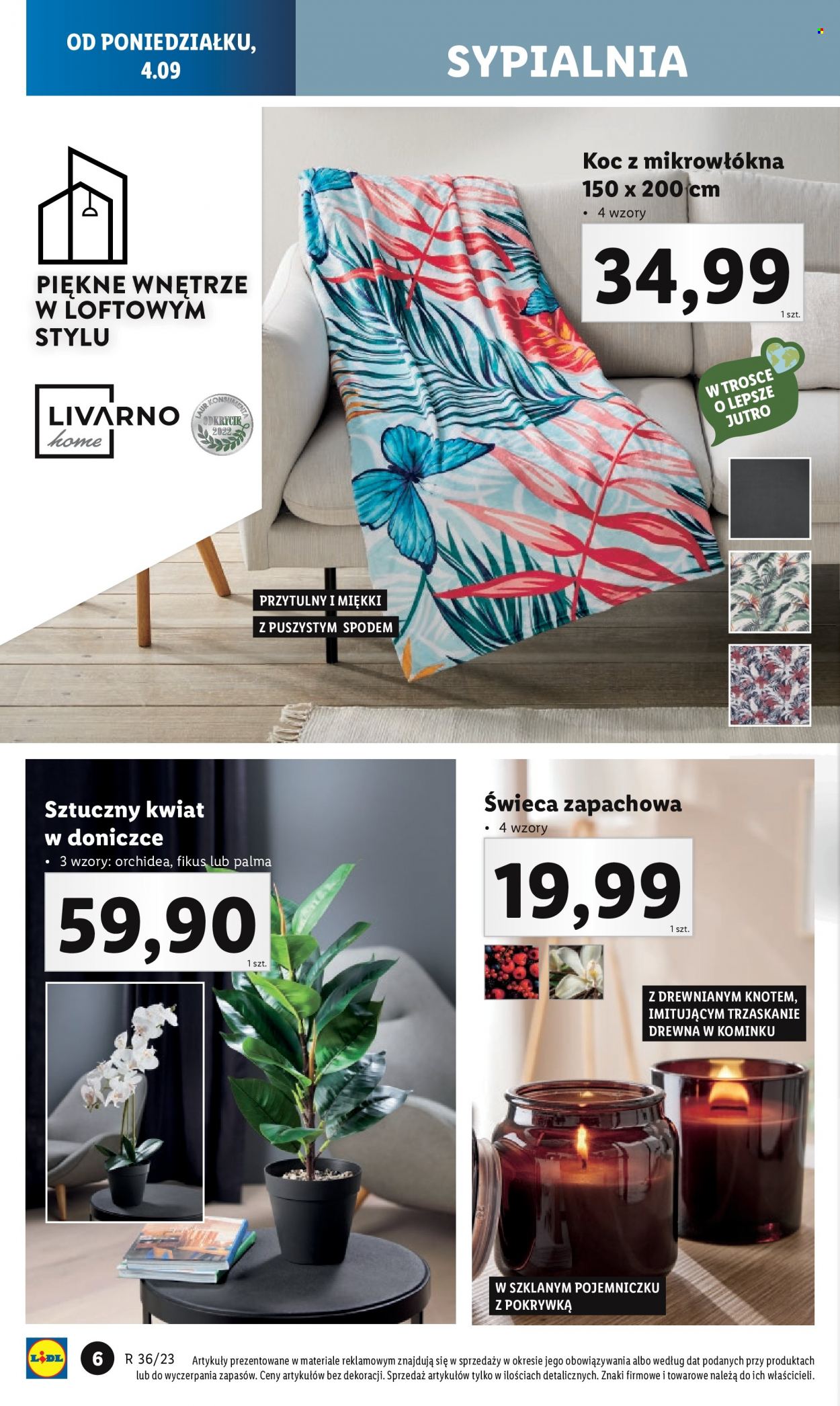 Gazetka Lidl - 28.08.2023 - 28.08.2023. Strona 10