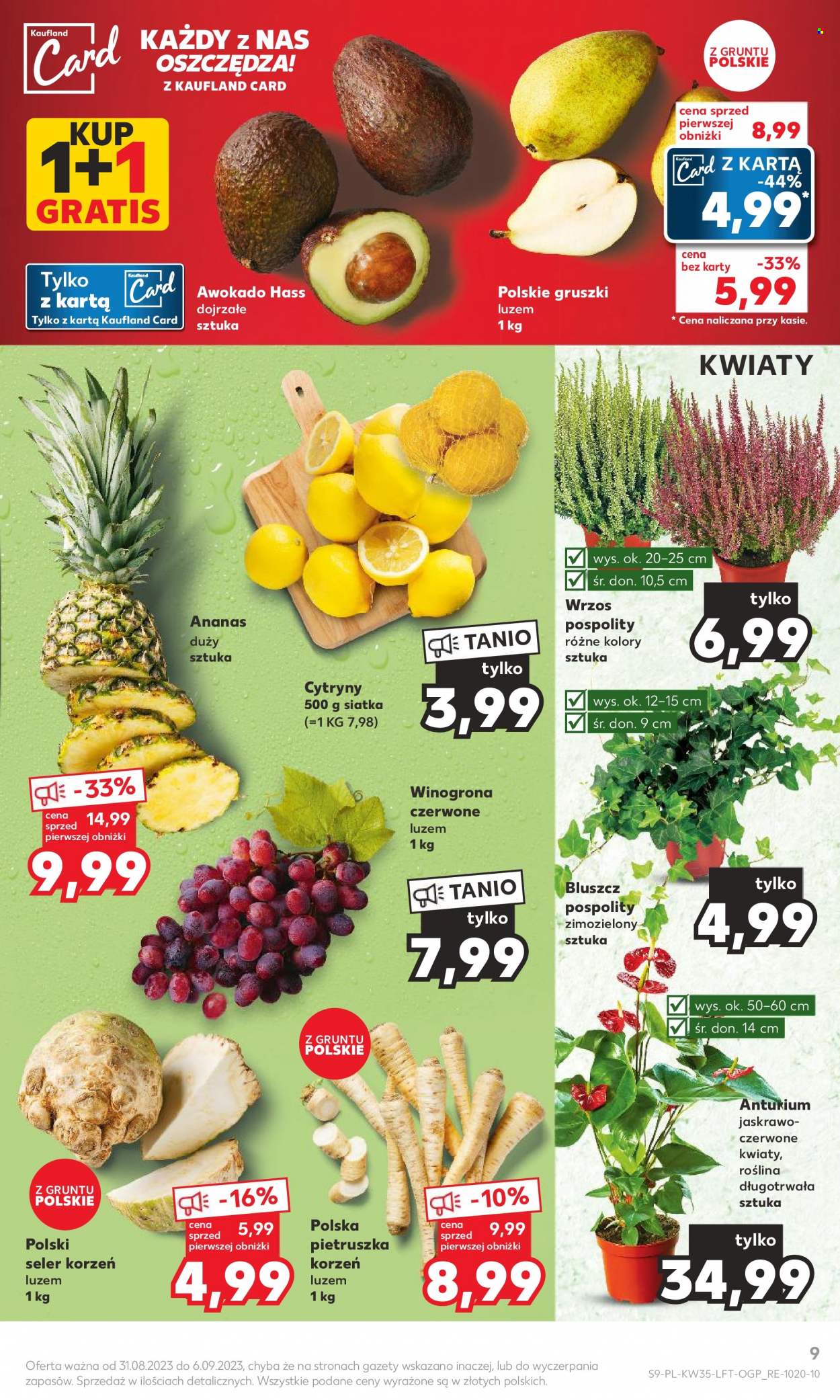 Gazetka Kaufland - 31.08.2023 - 6.09.2023. Strona 9