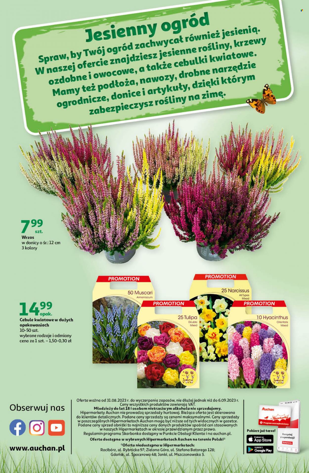 Gazetka Auchan - 31.08.2023 - 6.09.2023. Strona 40