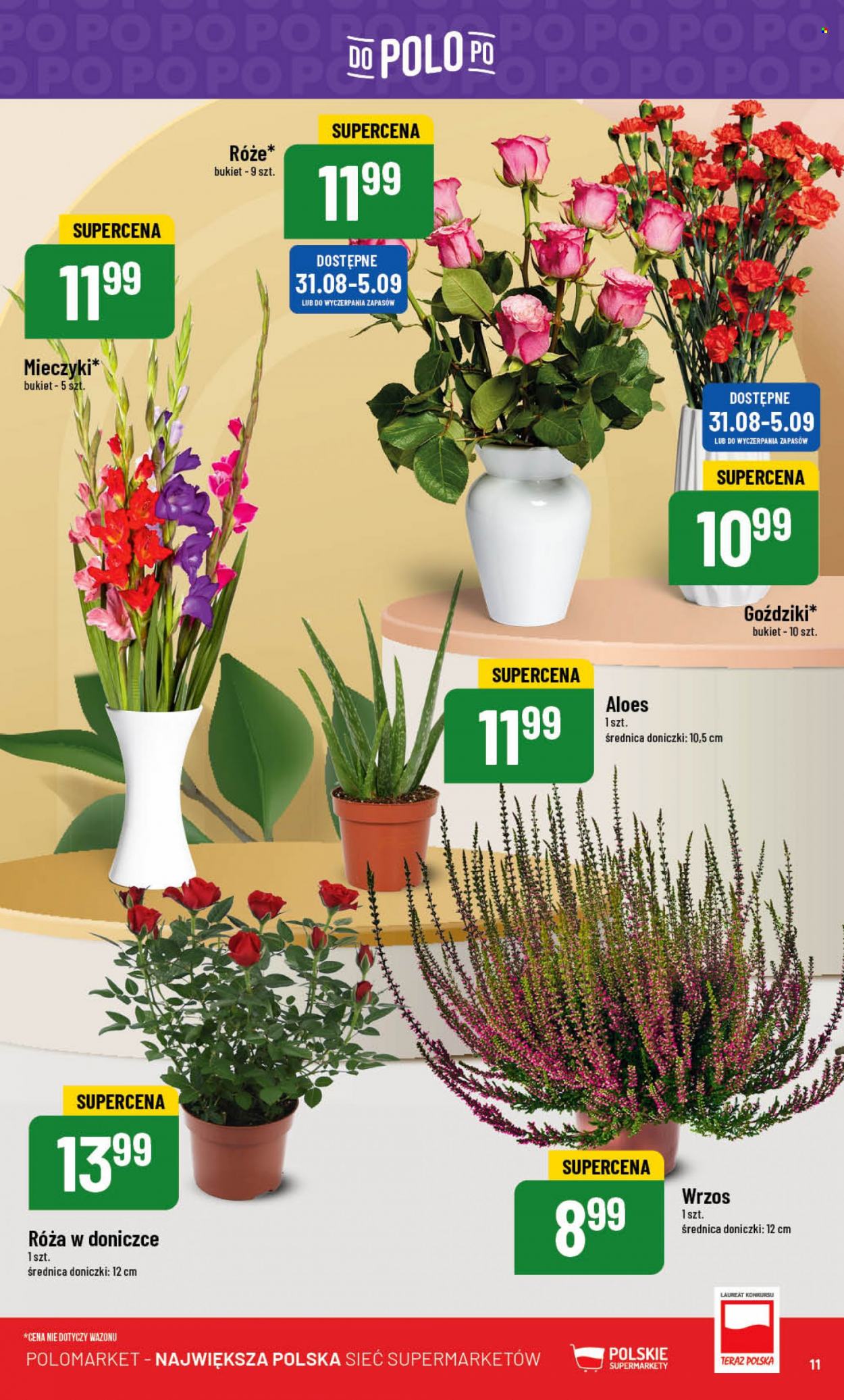 Gazetka Polomarket - 30.08.2023 - 5.09.2023. Strona 11