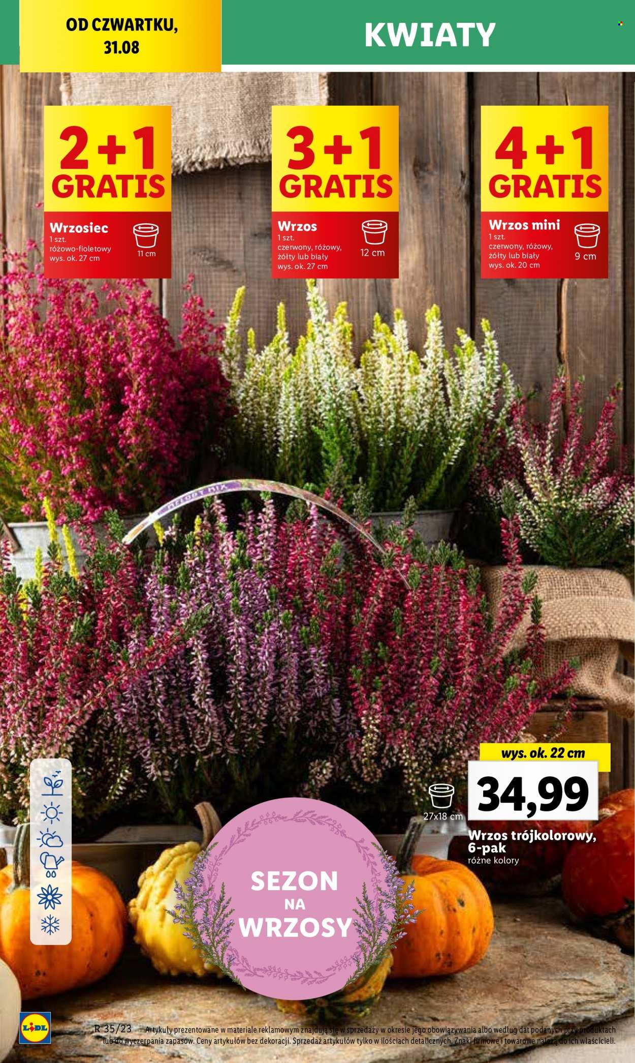 Gazetka Lidl - 31.08.2023 - 2.09.2023. Strona 66