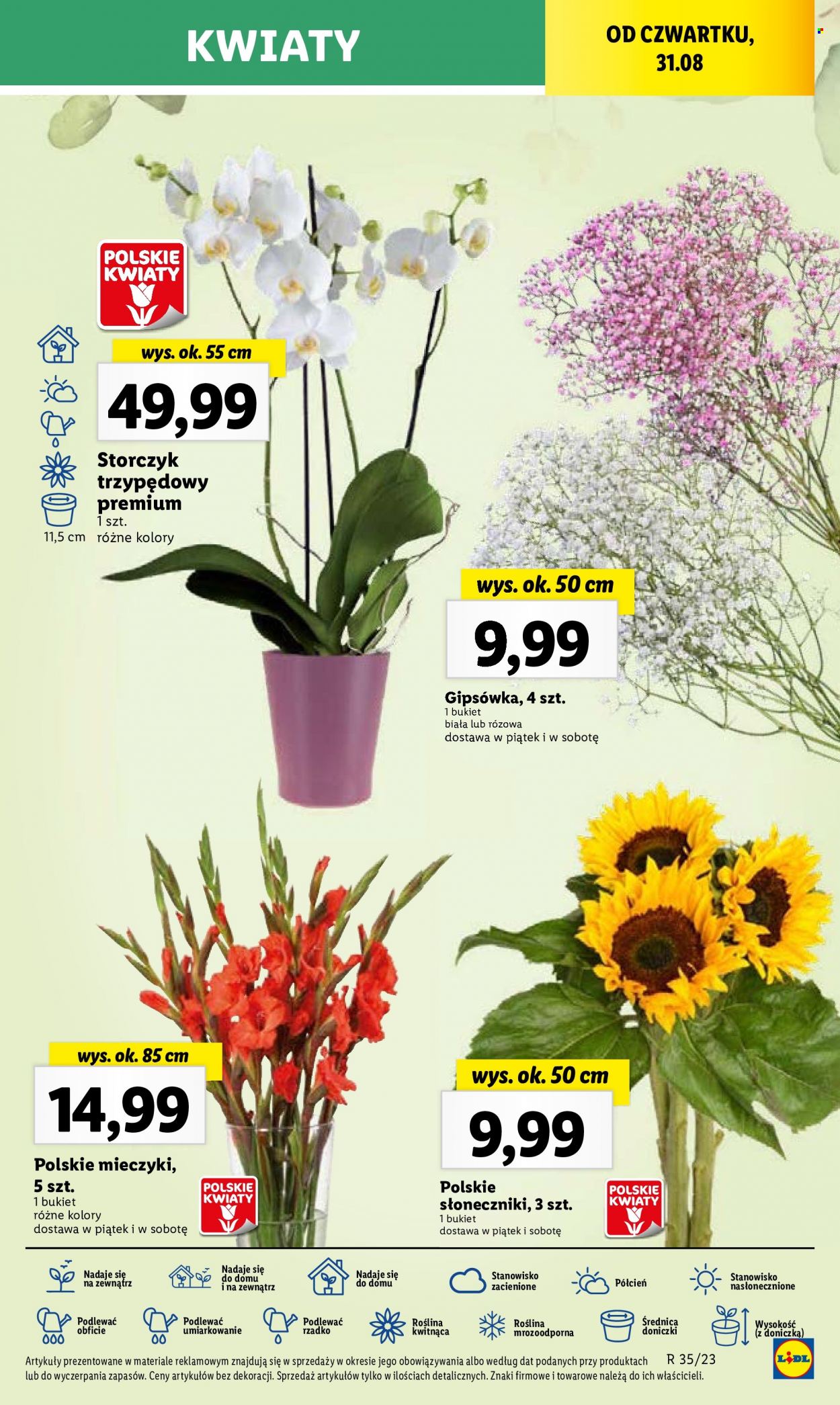Gazetka Lidl - 31.08.2023 - 2.09.2023. Strona 67