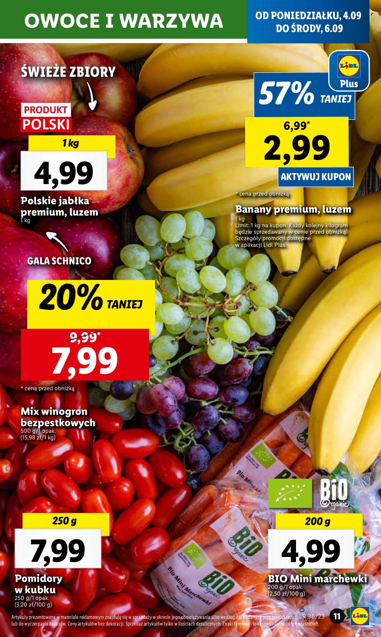 Gazetka Lidl - 4.09.2023 - 6.09.2023. Strona 25