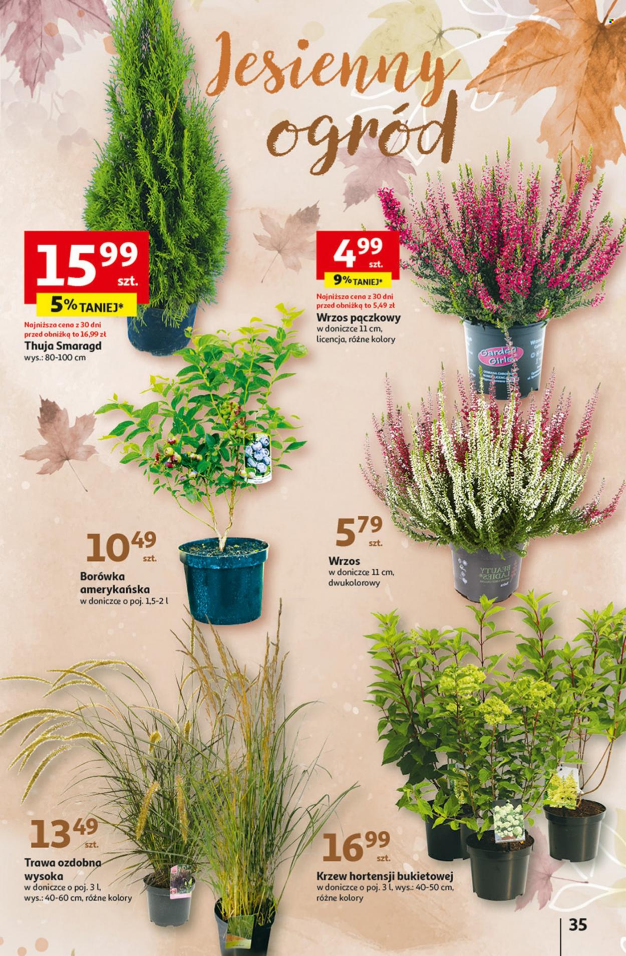 Gazetka Auchan - 7.09.2023 - 13.09.2023. Strona 35