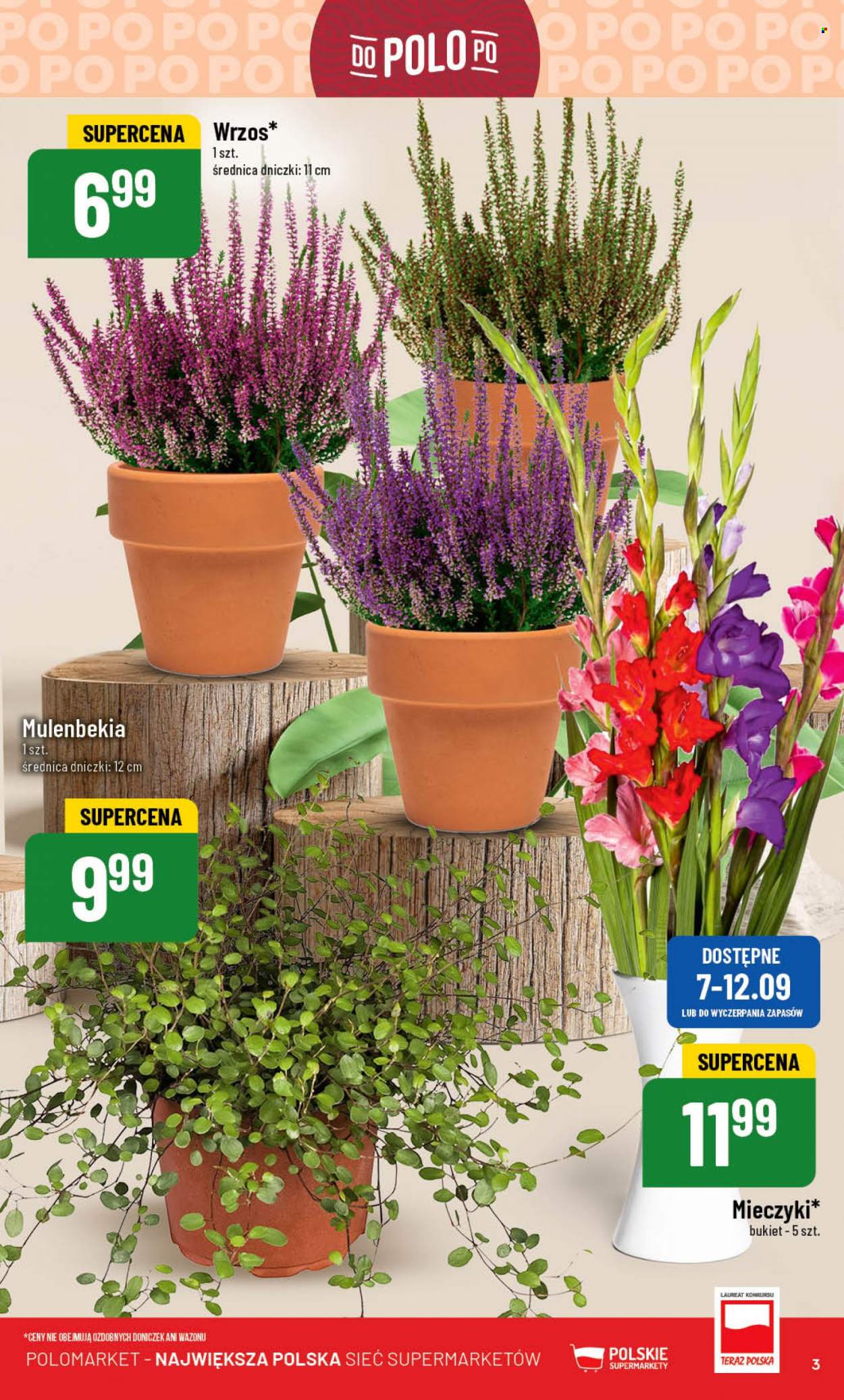 Gazetka Polomarket - 6.09.2023 - 12.09.2023. Strona 3