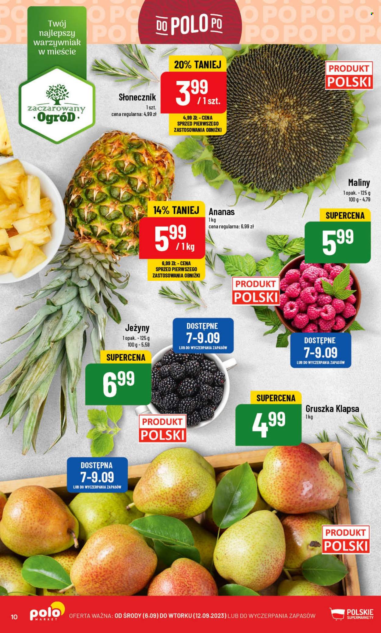 Gazetka Polomarket - 6.09.2023 - 12.09.2023. Strona 10