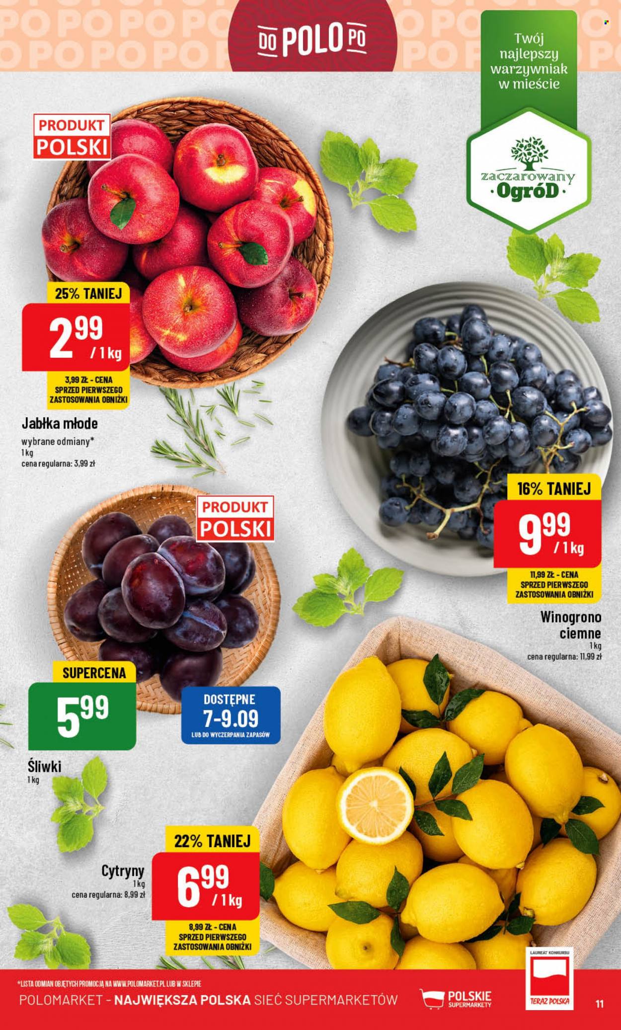 Gazetka Polomarket - 6.09.2023 - 12.09.2023. Strona 11