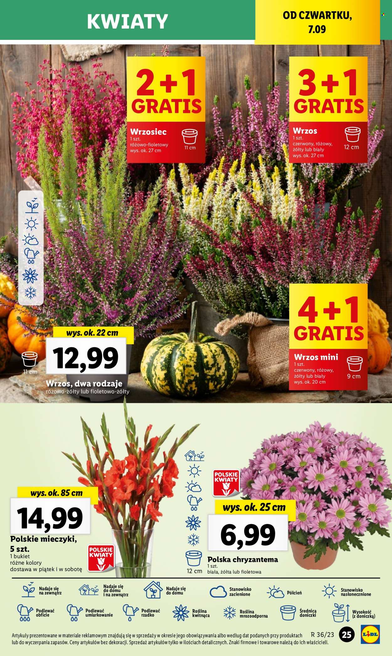 Gazetka Lidl - 7.09.2023 - 9.09.2023. Strona 45