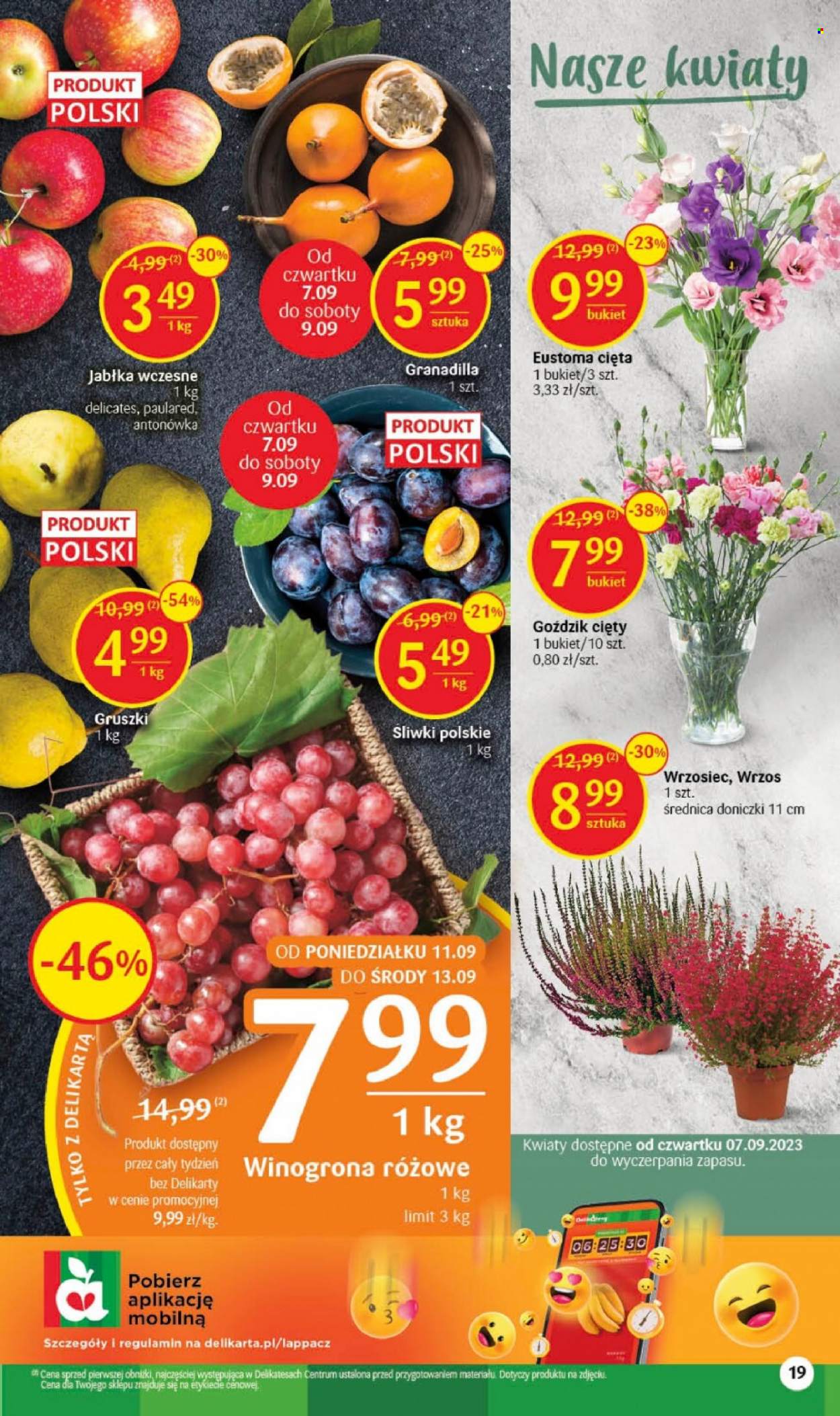 Gazetka Delikatesy Centrum - 7.09.2023 - 13.09.2023. Strona 19