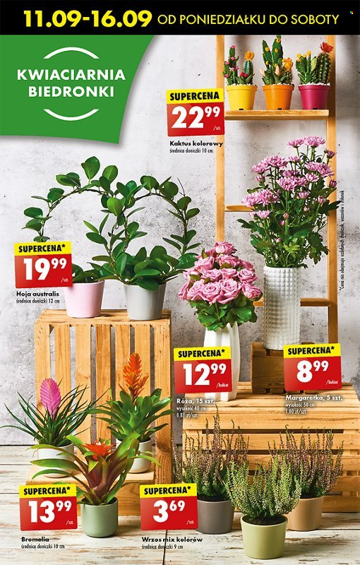 Gazetka Biedronka - 11.09.2023 - 16.09.2023. Strona 18