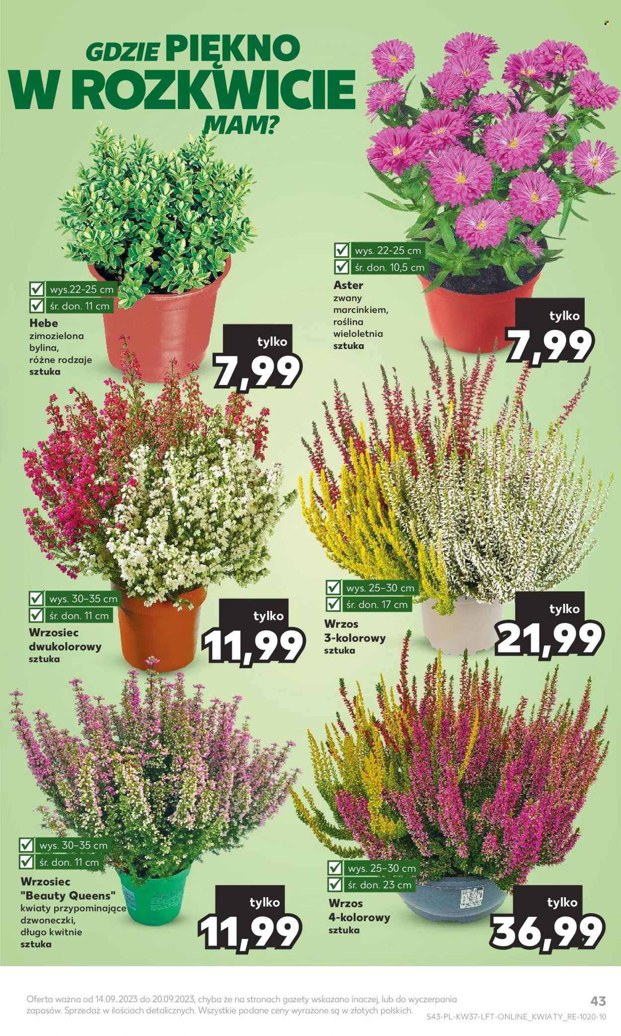Gazetka Kaufland - 14.09.2023 - 20.09.2023. Strona 43