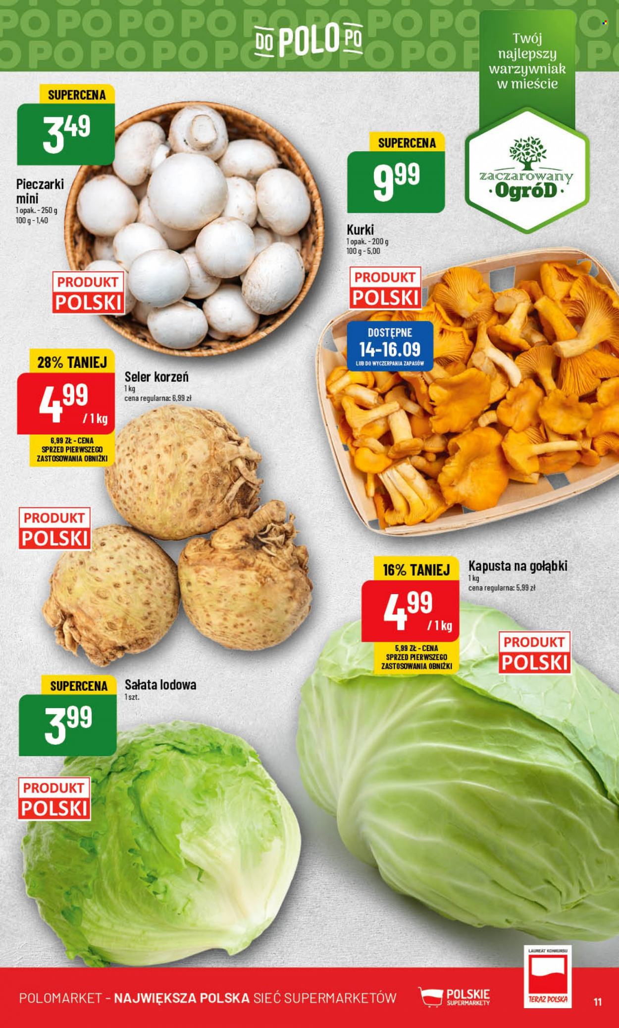 Gazetka Polomarket - 13.09.2023 - 19.09.2023. Strona 11