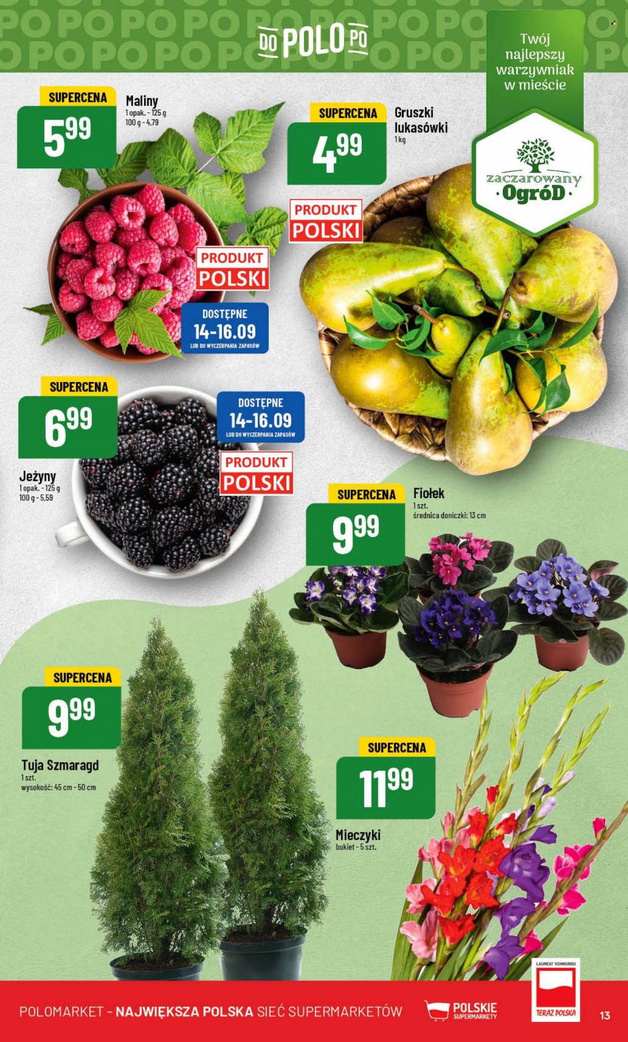 Gazetka Polomarket - 13.09.2023 - 19.09.2023. Strona 13